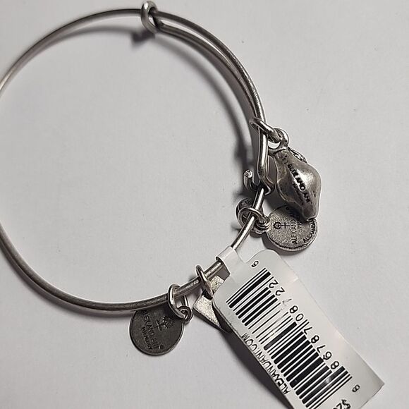Alex & Ani Silver Charm Bangle Bracelet - Picture 2 of 3